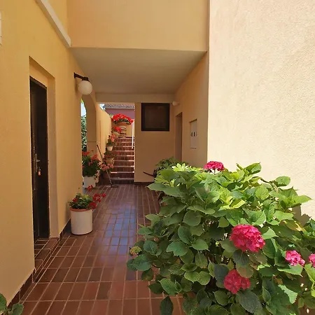 Apartament Luka 953 *