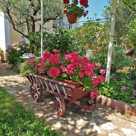 Apartment Luka 953 *